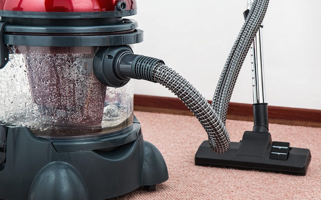 5 Reasons to Hire Professional Carpet Cleaning Services