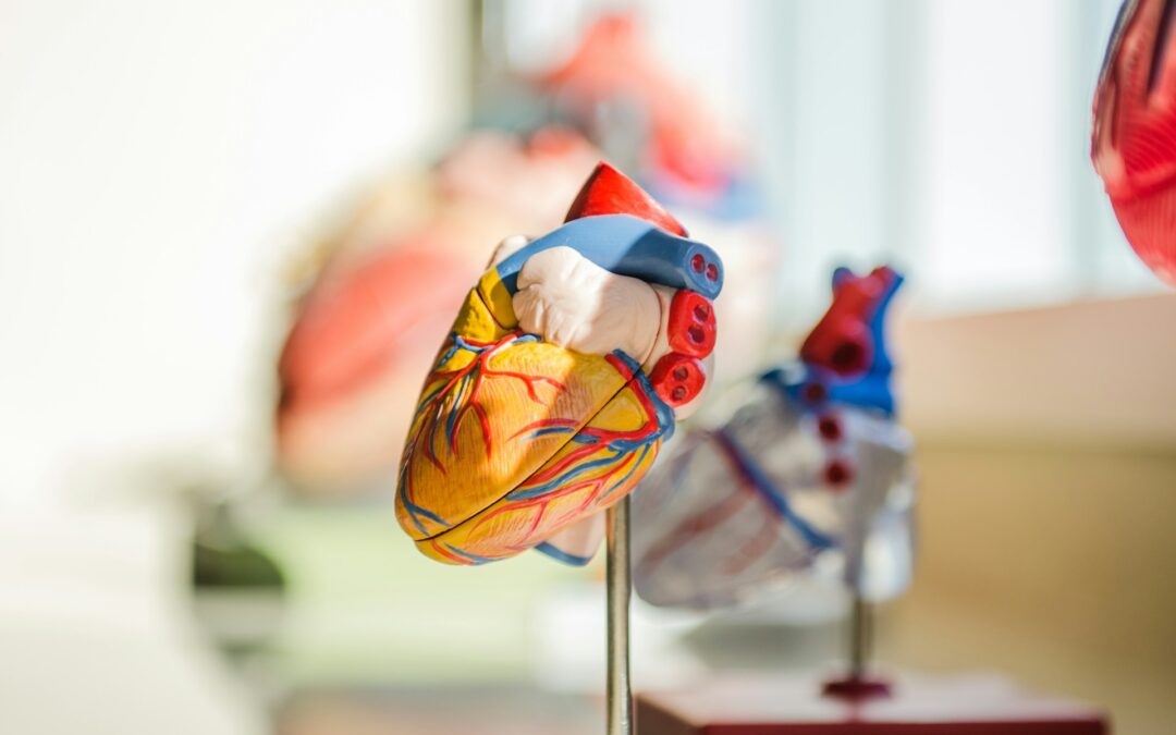 Stress Plays a Role in Heart Health